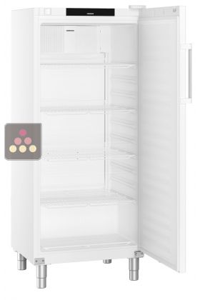 Forced-air professional refrigerator GN 2/1 - ABS interior - 419L