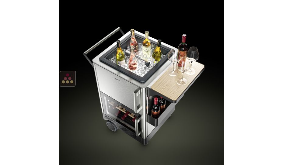 Outdoor mobile bar with refrigerated cabinet and insulated presentation bin