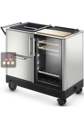 Outdoor mobile bar with dual temperature refrigerated cabinet and insulated presentation bin