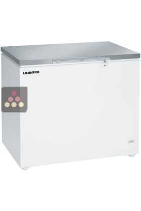 Commercial chest freezer - 283L - Stainless steel lid