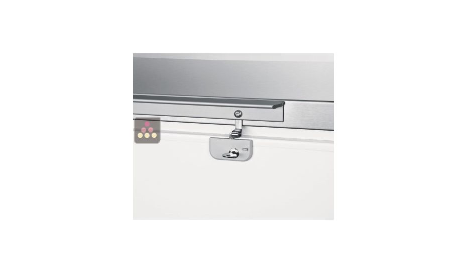 Commercial chest freezer - 283L - Stainless steel lid