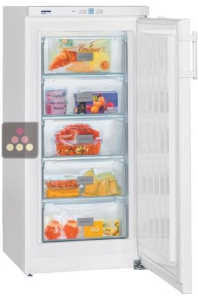 Static freezer - 158L - Manual Defrosting