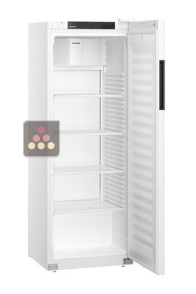 White forced-air commercial refrigerator - 250L