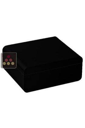 Compact black veneer humidor 