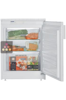 Mini Freezer : can be fitted under counter with decorative panel coverable - 100 Litres