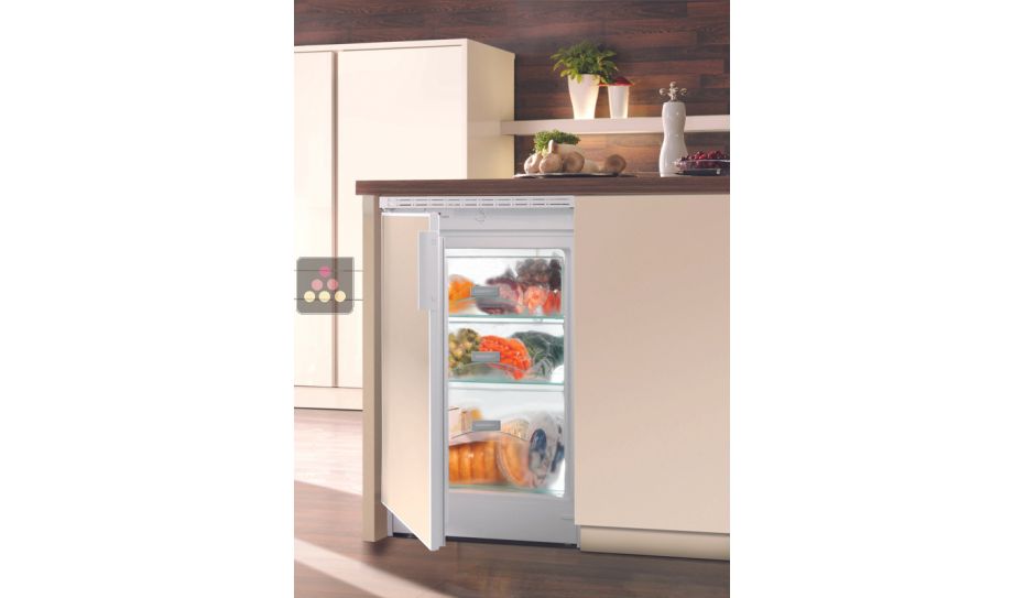 Mini Freezer : can be fitted under counter with decorative panel coverable - 100 Litres
