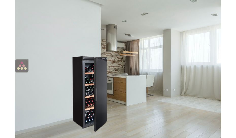 Single temperature wine cabinet for ageing or service