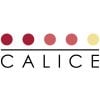 Calice wine cabinet