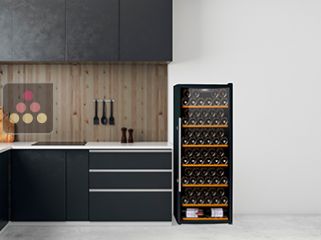 CLIMADIFF Wine cabinet for mono-temperature service or single temperature storage 
